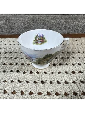 Royal Vale Vintage Country Cottage Tea Cup NO Saucer Bone China Made in England